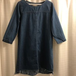 Adorable Madewell denim long sleeve dress, size L